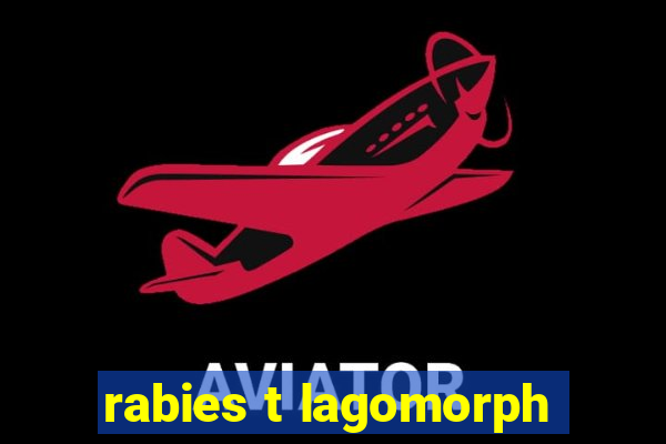 rabies t lagomorph